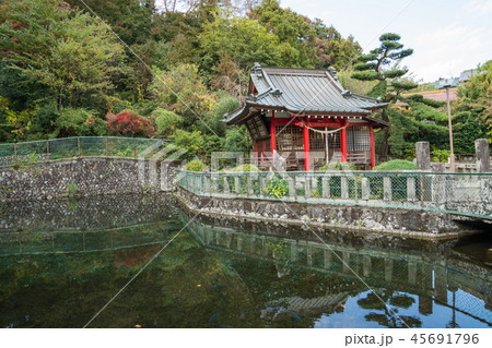 清左衛門地獄池湧水 清左衛門地獄池湧水 45691796