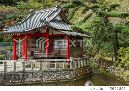 清左衛門地獄池湧水 清左衛門地獄池湧水 45691805