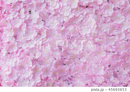 pink flower background 45693653