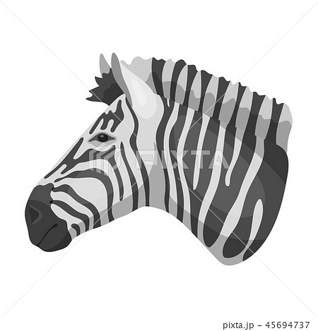 Zebra Icon In Monochrome Style Isolated On のイラスト素材