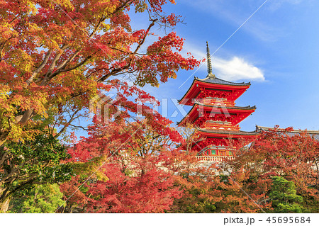 清水寺 紅葉 清水寺 紅葉 45695684