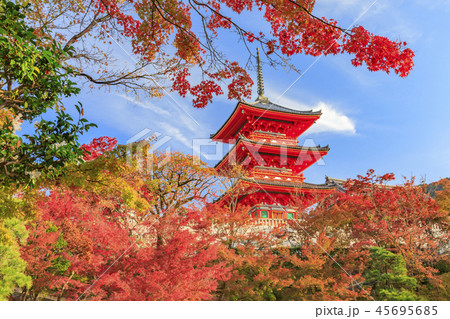 清水寺　紅葉 45695685