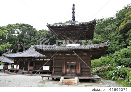 海南市　長保寺 45696075