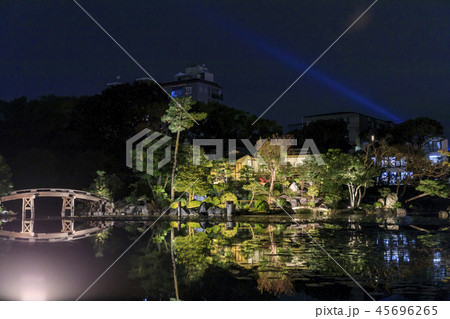 渉成園 ライトアップ 渉成園 ライトアップ 45696265
