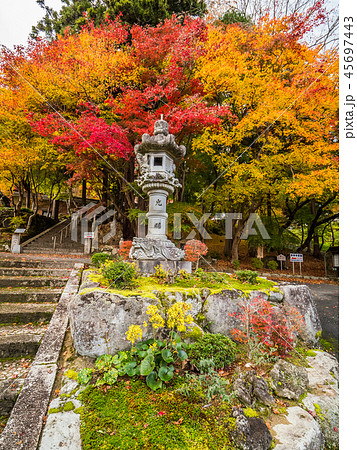 紅葉の長安寺の写真素材