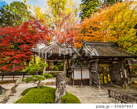 紅葉の長安寺 45697447