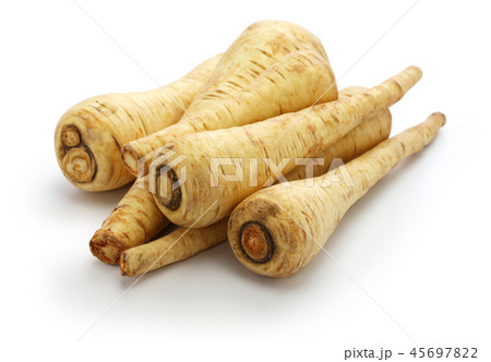 パースニップ 45697822