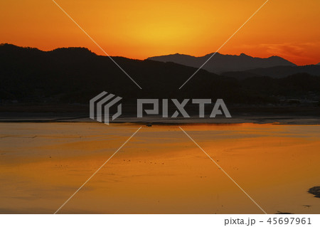 風景 自然 木 45697961