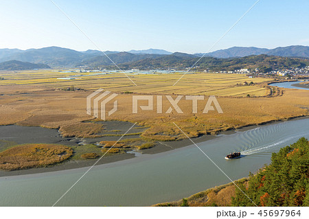 風景 海 干潟 45697964