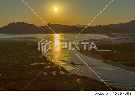 風景 自然 木 45697982