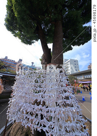 学問の神様 湯島天神のおみくじ納所 学問の神様 湯島天神のおみくじ納所 45698179