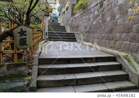 学問の神様 湯島天神の女坂を登り口から見る 45698182