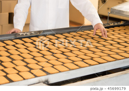 cookie factory making cookie factory making 45699179