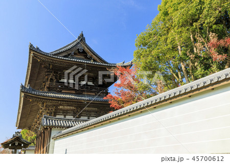 仁和寺の紅葉 仁和寺の紅葉 45700612