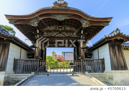 仁和寺の紅葉 仁和寺の紅葉 45700613