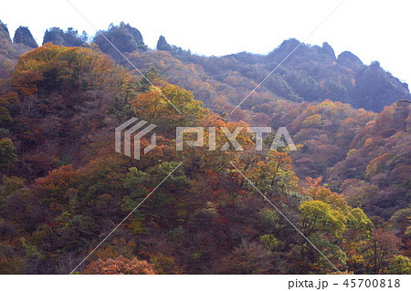 妙義湖の紅葉 45700818
