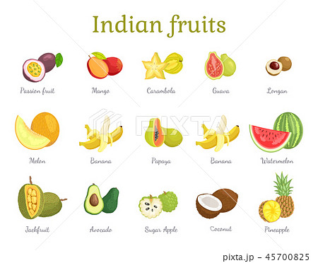 Indian Fruits Set India Food Vector Illustration 45700825