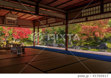 圓徳院　紅葉 45700917