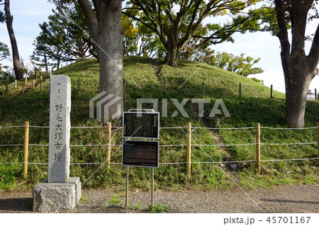 野毛大塚古墳 45701167