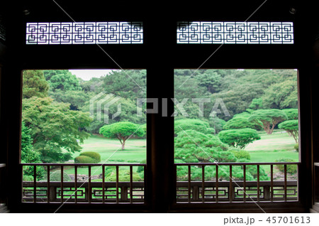 京都の日本庭園の季節。 京都の日本庭園の季節。 45701613