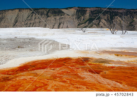 Mammoth Hot Springs Terraces, Wyoming, USA 45702843