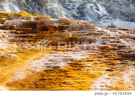 Mammoth Hot Springs Terraces, Wyoming, USA 45702844