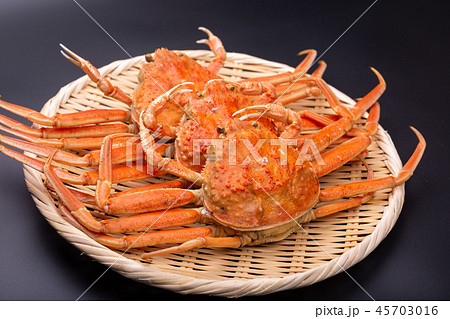 ズワイガニのメス　食材 45703016