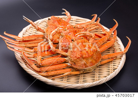 ズワイガニのメス 食材 ズワイガニのメス 食材 45703017