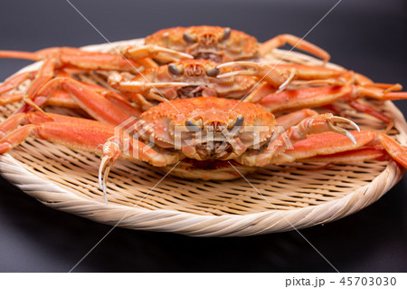 ズワイガニのメス 食材 ズワイガニのメス 食材 45703030