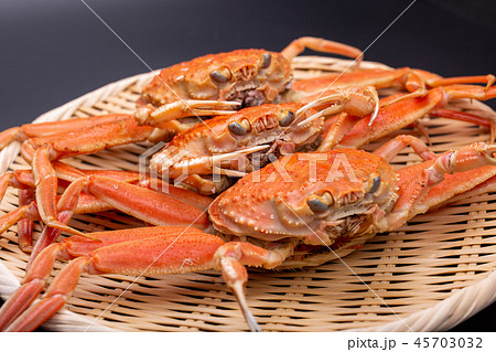 ズワイガニのメス 食材 ズワイガニのメス 食材 45703032