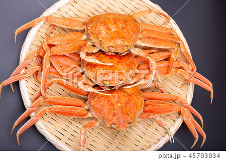 ズワイガニのメス　食材 45703034