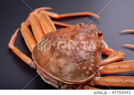 ズワイガニのメス 食材 ズワイガニのメス 食材 45703043
