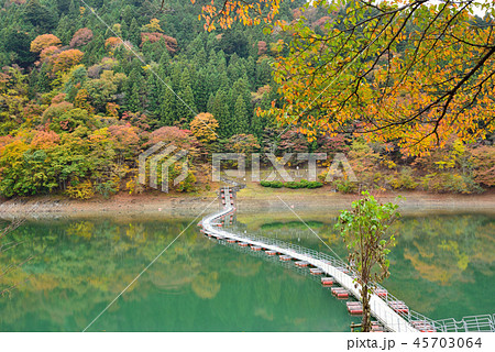 <奥多摩湖> 紅葉の留浦浮橋(ドラム缶橋) 東京都西多摩郡奥多摩町 <奥多摩湖> 紅葉の留浦浮橋(ドラム缶橋) 東京都西多摩郡奥多摩町 45703064