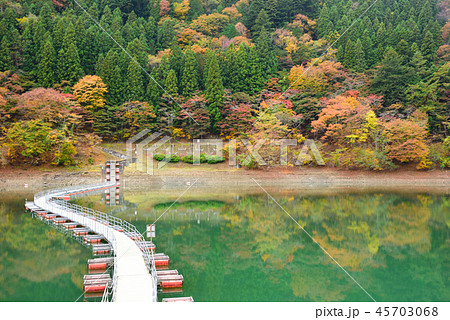 奥多摩湖 紅葉の留浦浮橋 ドラム缶橋 東京都西多摩郡奥多摩町の写真素材