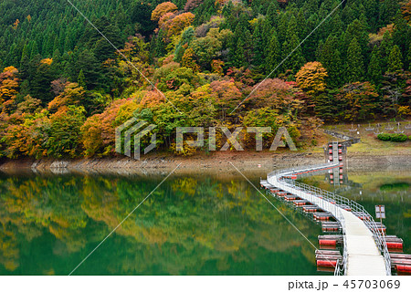 ＜奥多摩湖＞　紅葉の留浦浮橋（ドラム缶橋）　東京都西多摩郡奥多摩町 45703069