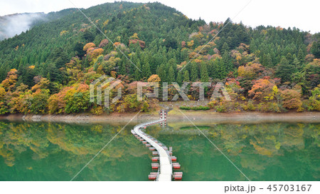 ＜奥多摩湖＞　紅葉の留浦浮橋（ドラム缶橋）　（アスペクト比16：9）　東京都西多摩郡奥多摩町 45703167