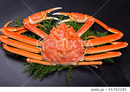 ズワイガニ 食材 ズワイガニ 食材 45703285