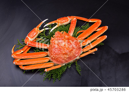 ズワイガニ 食材 ズワイガニ 食材 45703286