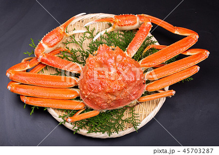 ズワイガニ　食材 45703287