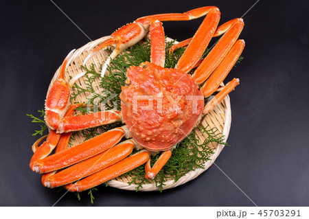 ズワイガニ　食材 45703291