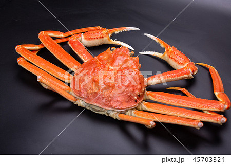 ズワイガニ 食材 ズワイガニ 食材 45703324