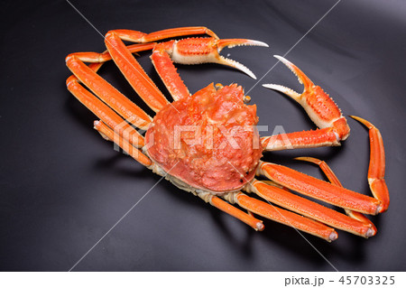 ズワイガニ　食材 45703325