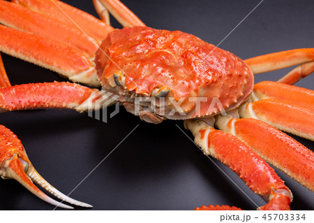 ズワイガニ　食材 45703334