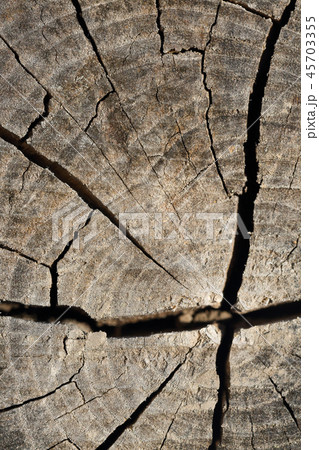 Old wood texture with natural patterns. 45703355