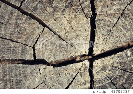 Old wood texture with natural patterns. 45703357