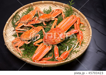 松葉ガニ　食材 45703423