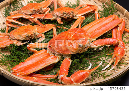 松葉ガニ 食材 松葉ガニ 食材 45703425
