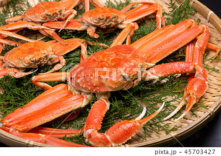 松葉ガニ　食材 45703427