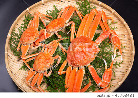 松葉ガニ　食材 45703431