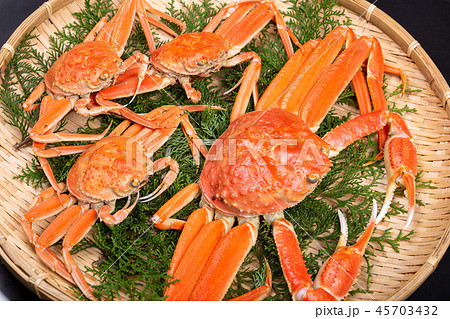 松葉ガニ　食材 45703432
